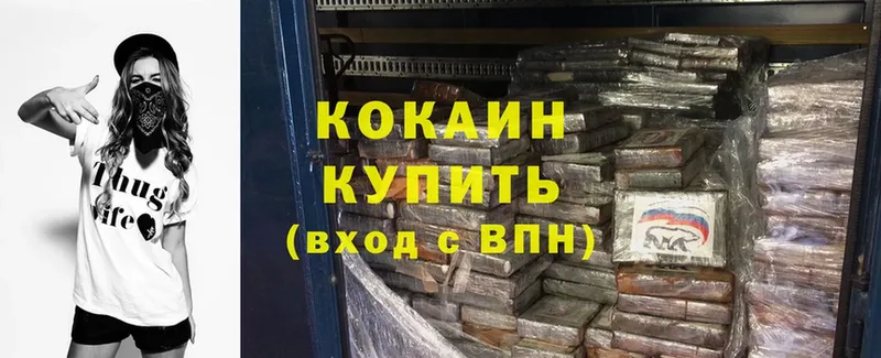 Cocaine Fish Scale  Светлоград 